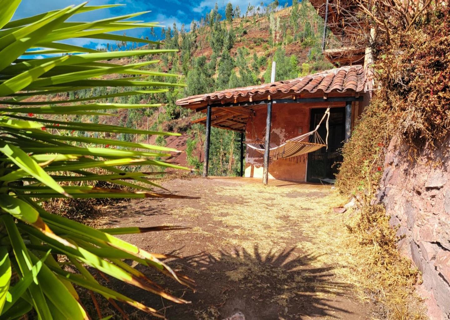 Wolf Totem Steam Punk Guesthouse Pisac Rom bilde